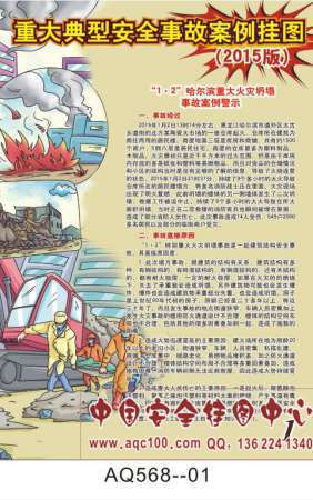 重大典型安全事故案例宣传挂图-AQ568