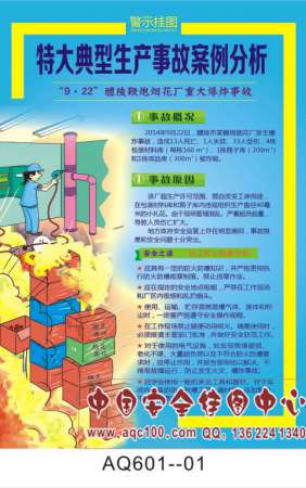 特大典型生产事故案例分析宣传挂图-AQ601