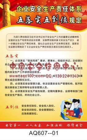 企业安全生产责任体系五落实五到位规定挂图-AQ607