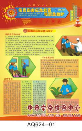 常见伤害应急处置与紧急救护宣传挂图-AQ624