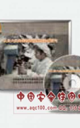 从业人员岗位职责及事故责任追究-LGYS151  