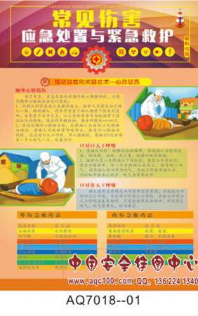 常见伤害应急处置与紧急救护宣传挂图-AQ7018